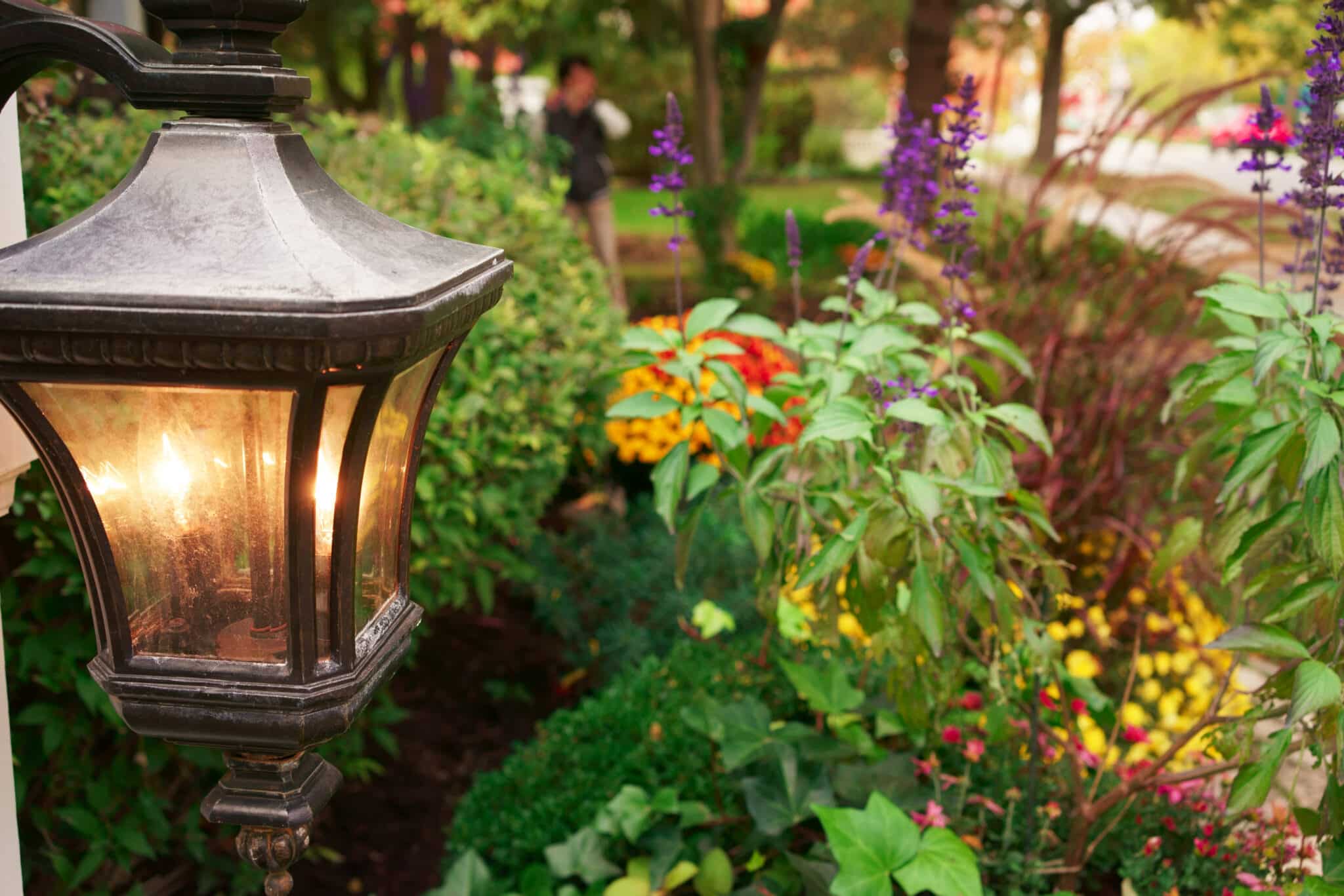 Landscape Lighting Ideas.